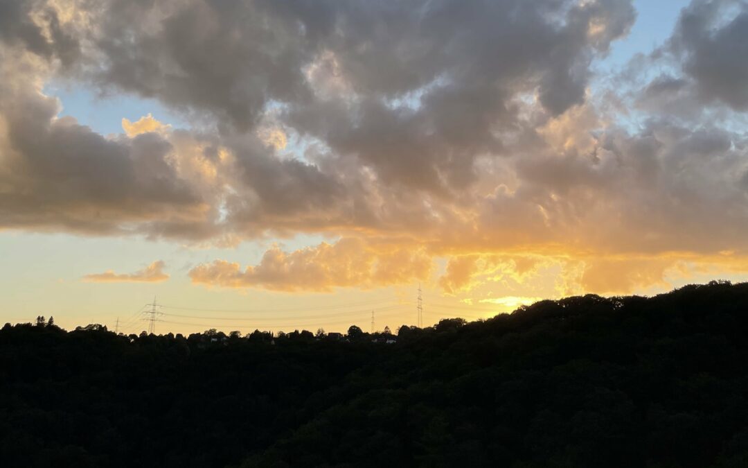 Die letzten Sundowner Touren des Jahres!